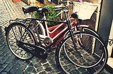 Rome (Civitavecchia) Bicycle Tour cruise excursion